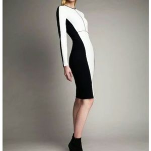 Narciso Rodriguez for Design Nation dress